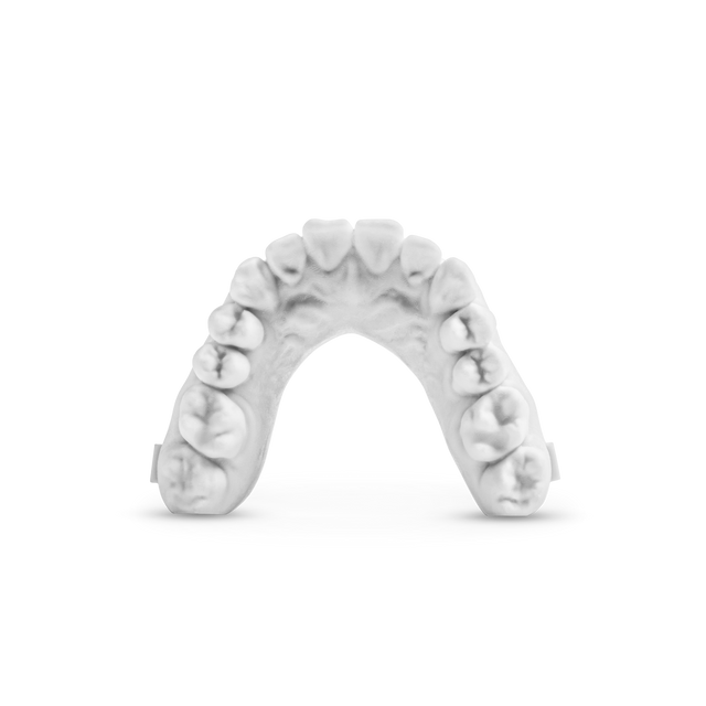 3D Printed Model